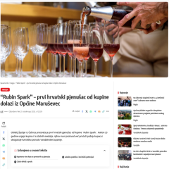 image-slider-with-thumbnail1.jpeg
